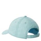 The North Face Unisex Recycled 66 Classic Hat